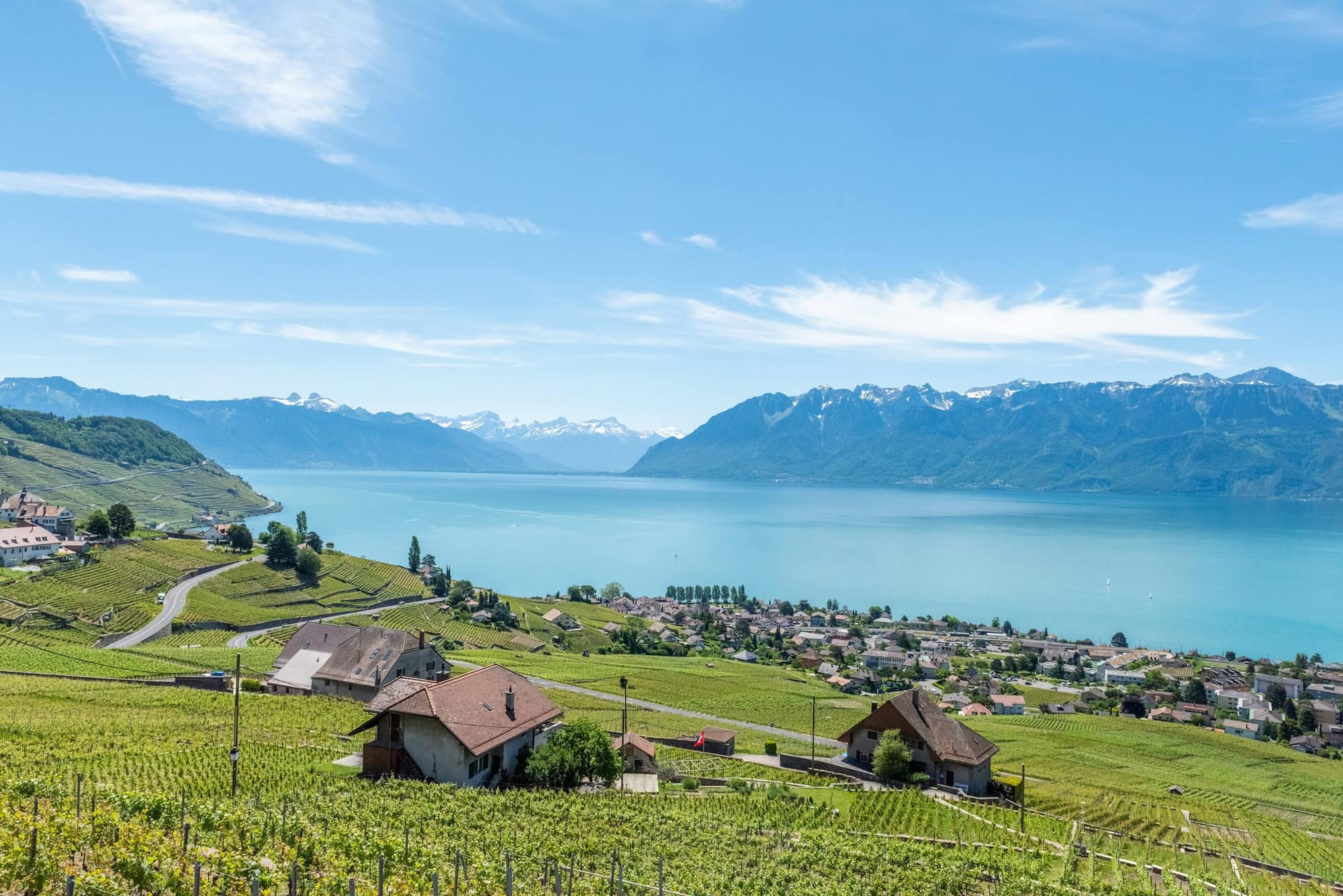 Le lac Léman et les Alpes, vus depuis les vignes de Lavaux
